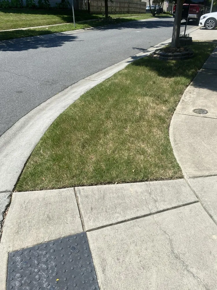 Trusted yard maintenance for homes in Charlotte, NC by Suitable Investments