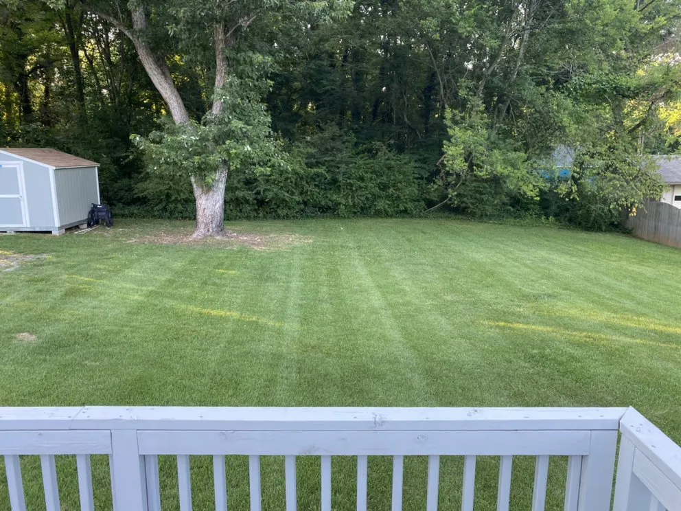 Custom lawn care service for residential properties in Charlotte, NC by Suitable Investments