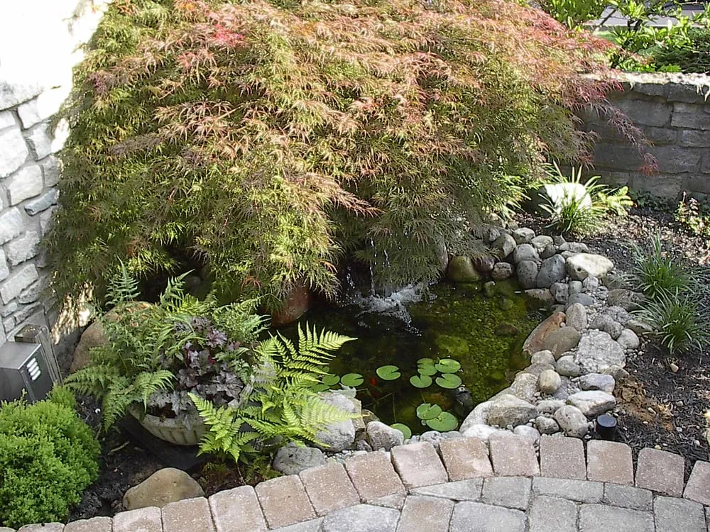 Custom landscaping services for homes across Brookville, IN - Sulina Farm Aquatic Environments