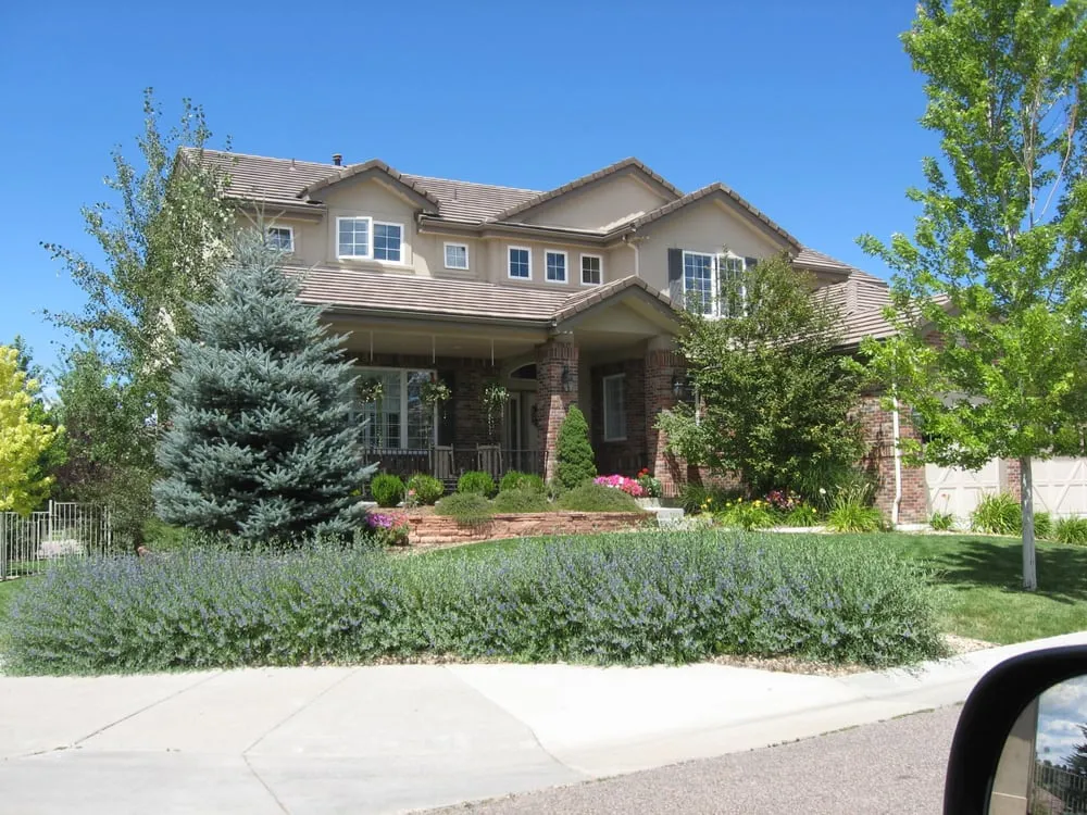 Expert lawn mowing service for homes across Lakewood, CO - Sulli's Landscaping