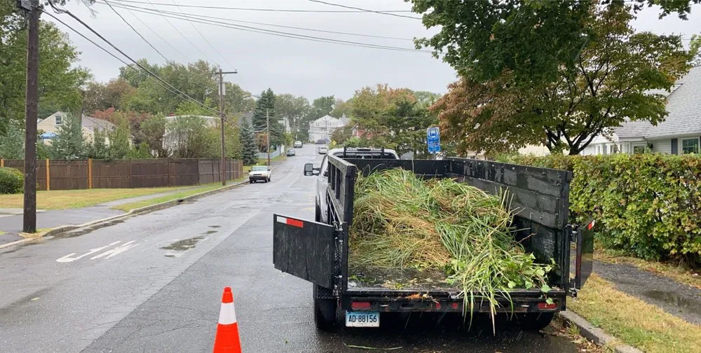 Trusted yard cleanup service for homes across Stamford, CT - Sullivan & Son Land Management