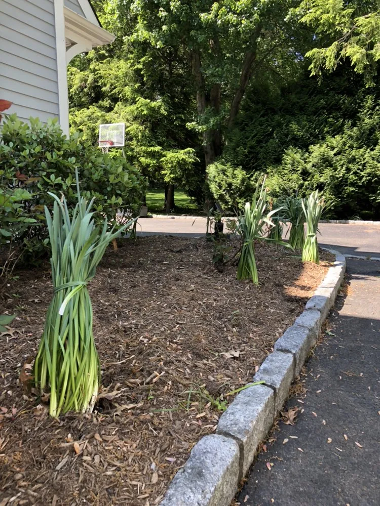 Local residential landscaping experts serving Stamford, CT - Sullivan & Son Land Management