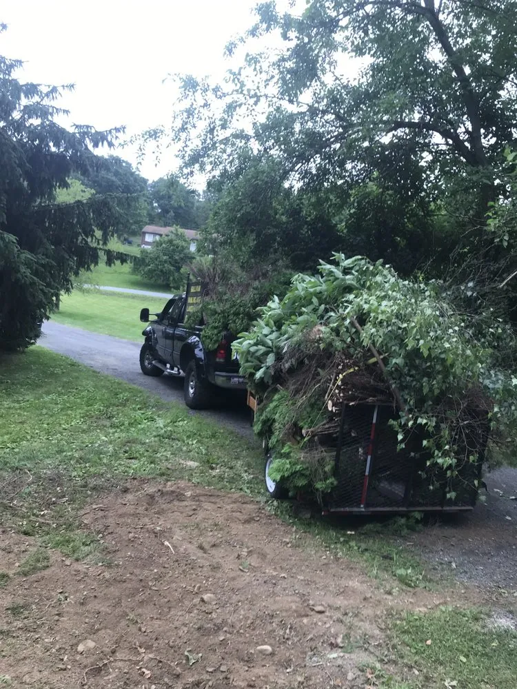 Expert yard maintenance experts serving Wappingers Falls, NY - Sullivan Hauling and Landscaping