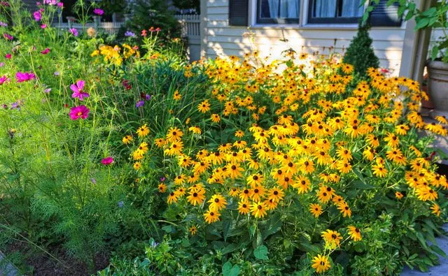 Local landscape installation for homes in Essex, MA by Sullivan Landscape & Stone