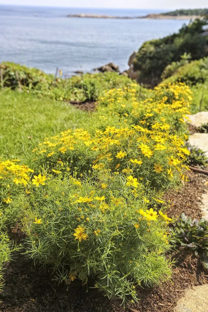 Custom outdoor landscaping with custom design in Essex, MA by Sullivan Landscape & Stone