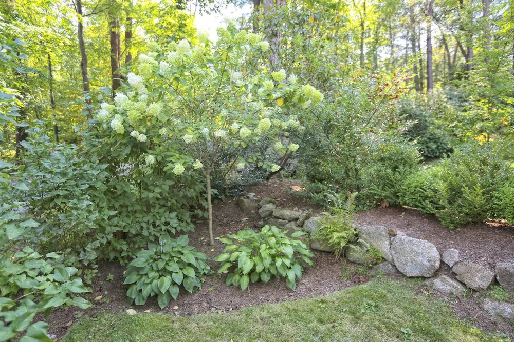 Custom yard cleanup service in Essex, MA - Sullivan Landscape & Stone