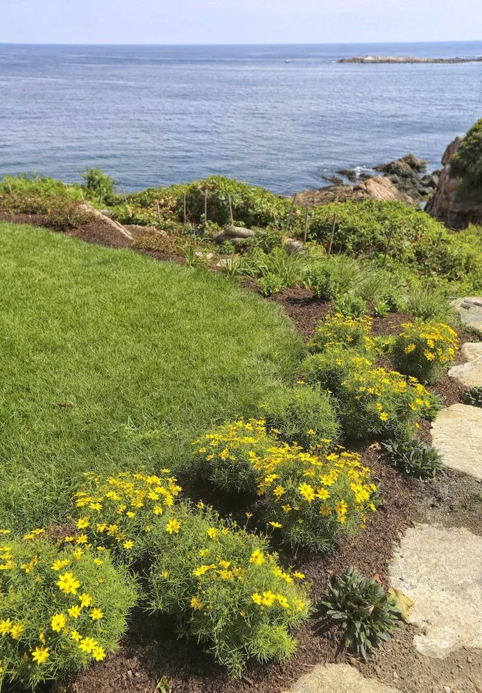 Local yard maintenance for year-round maintenance across Essex, MA - Sullivan Landscape & Stone