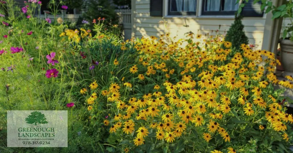 Affordable yard maintenance in Essex, MA - Sullivan Landscape & Stone