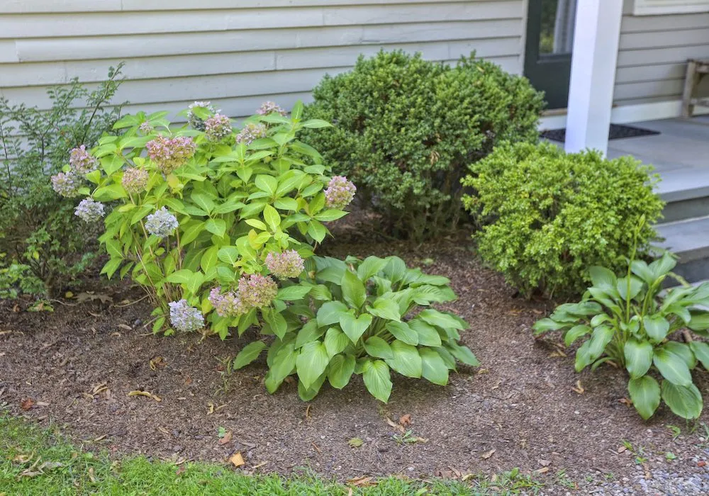 Local yard maintenance with custom design across Essex, MA - Sullivan Landscape & Stone