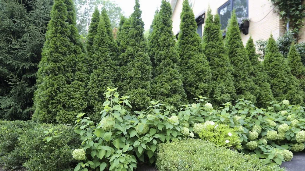 Local garden landscaping in Essex, MA - Sullivan Landscape & Stone