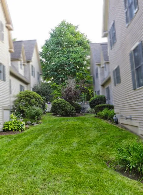 Trusted landscaping services near you in Essex, MA by Sullivan Landscape & Stone