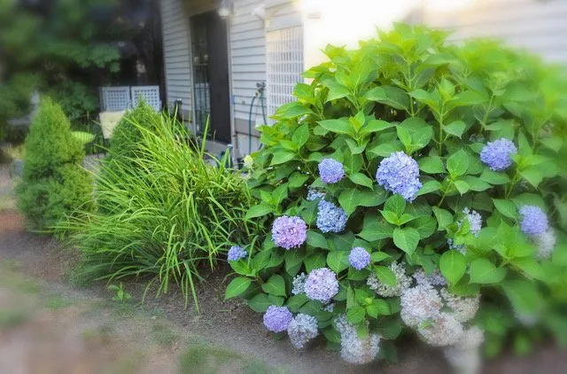 Expert yard maintenance with custom design across Essex, MA - Sullivan Landscape & Stone