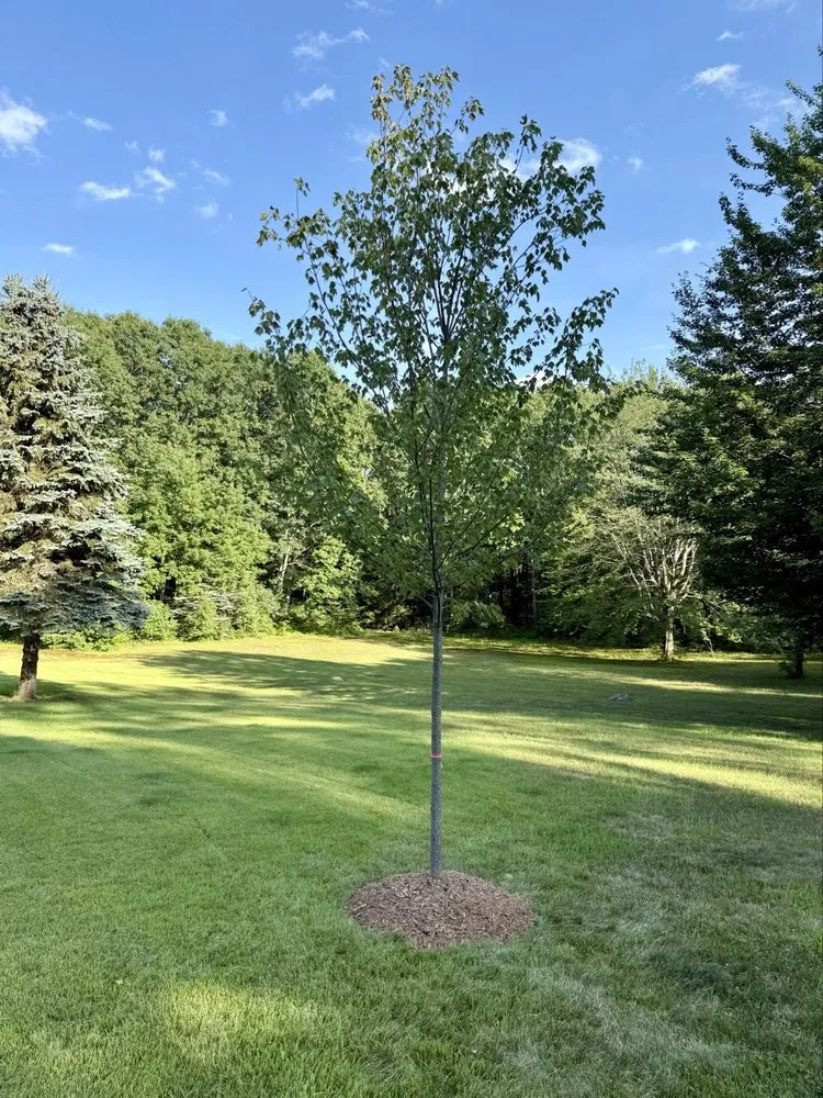 Local garden landscaping in Broadalbin, NY - Sullivan Landscape Solutions