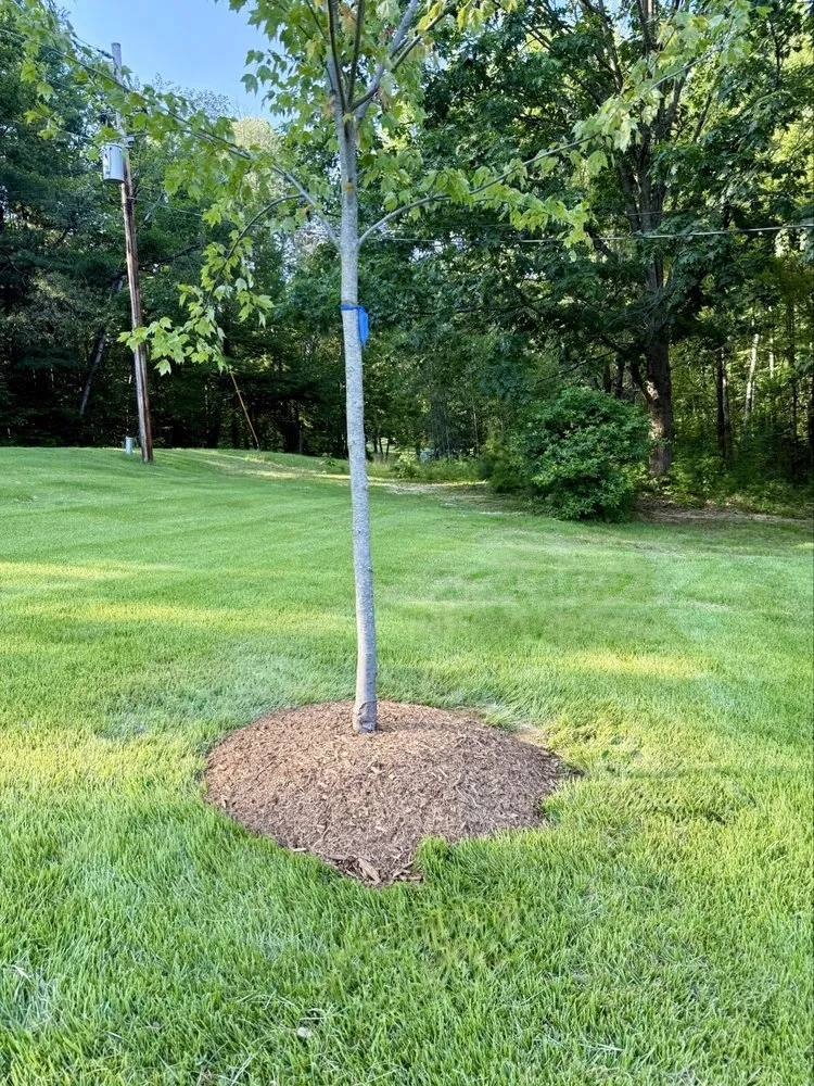 Expert lawn mowing service experts serving Broadalbin, NY - Sullivan Landscape Solutions