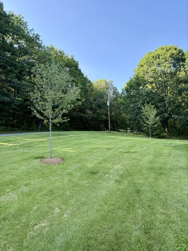 Reliable yard cleanup service in Broadalbin, NY by Sullivan Landscape Solutions