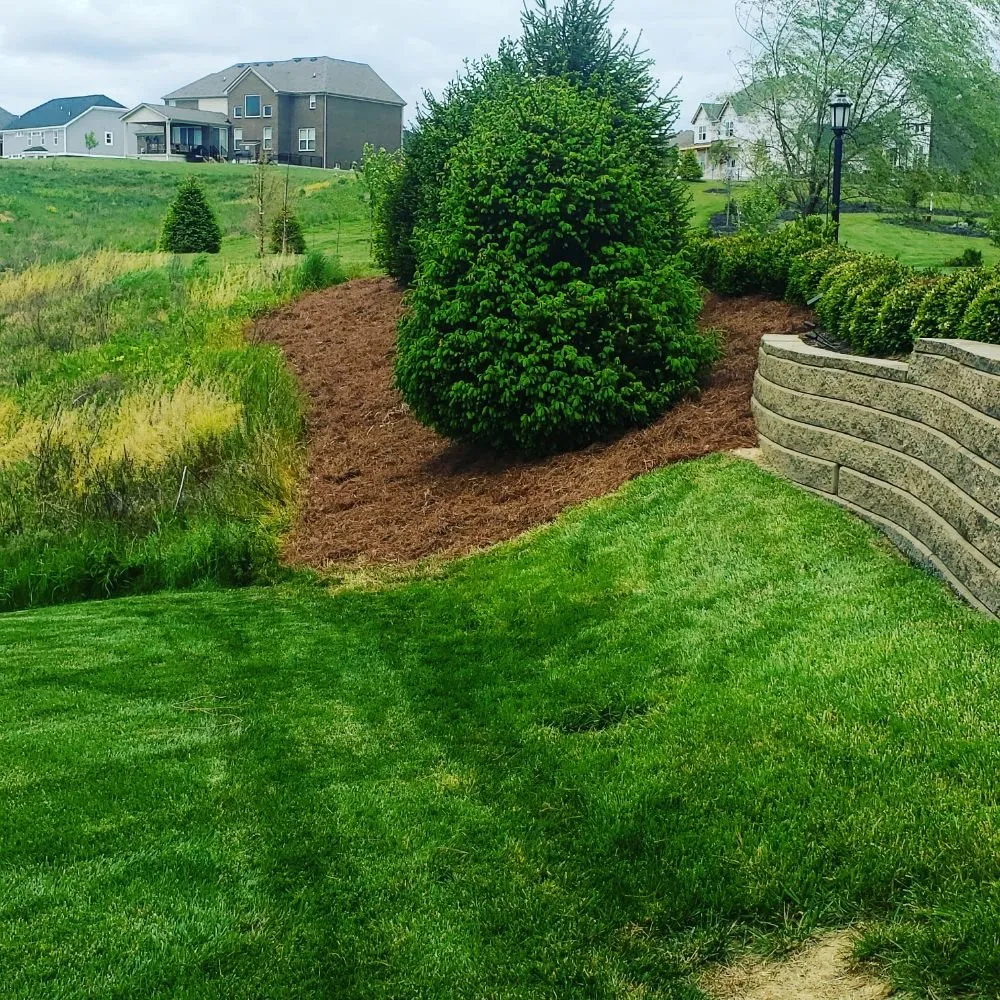 Affordable lawn care service experts serving Newport, KY - Sullivan Landscaping