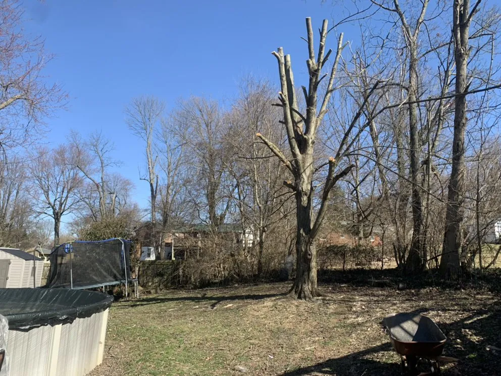 Top-rated yard cleanup service for outdoor upgrades in Newport, KY by Sullivan Landscaping