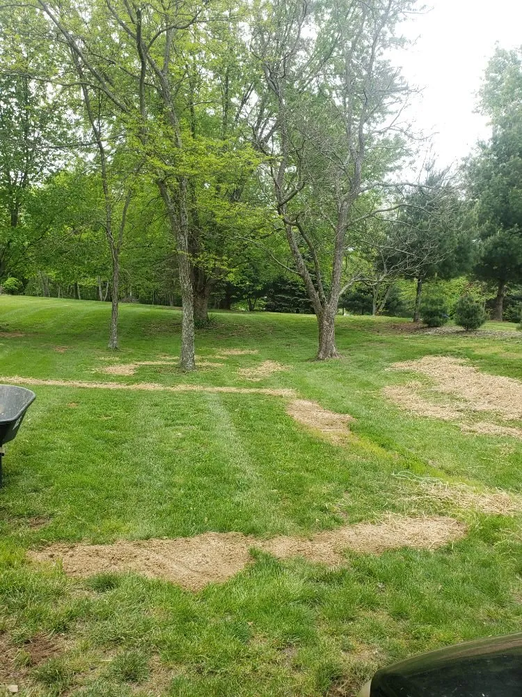 Reliable landscaping services in Newport, KY - Sullivan Landscaping