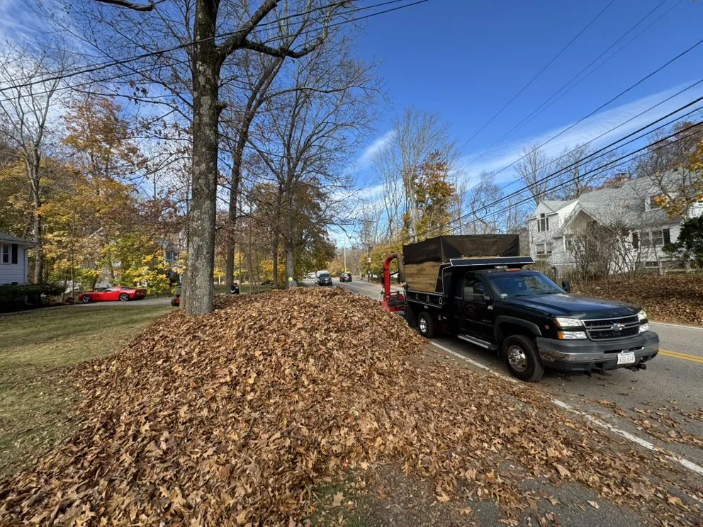 Expert yard cleanup service for residential properties in Easton, MA by Sullivan Lawn Service