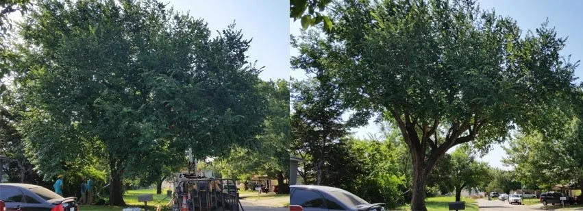 Custom yard cleanup service experts serving Lawton, OK - Sullivan Tree Service