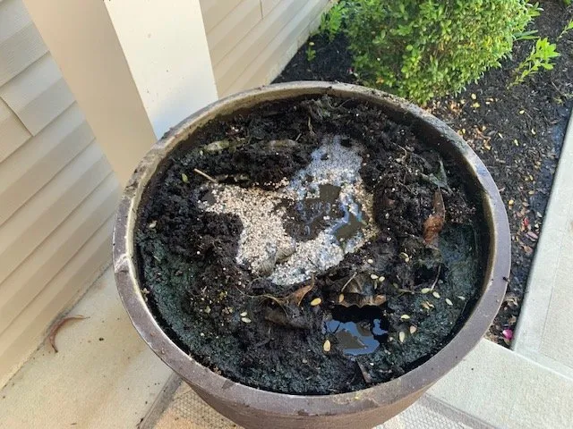 Professional landscaping services in Milford, DE by Sullivan's Landscaping & Garden Center