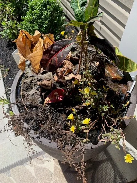 Top-rated garden landscaping near you in Milford, DE by Sullivan's Landscaping & Garden Center