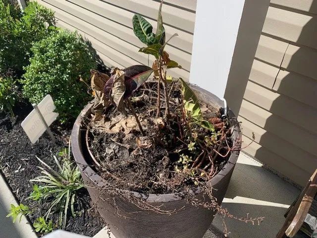 Top-rated outdoor landscaping for residential properties across Milford, DE - Sullivan's Landscaping & Garden Center