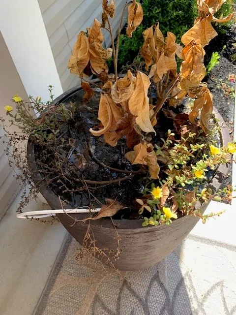 Custom landscaping services in Milford, DE - Sullivan's Landscaping & Garden Center