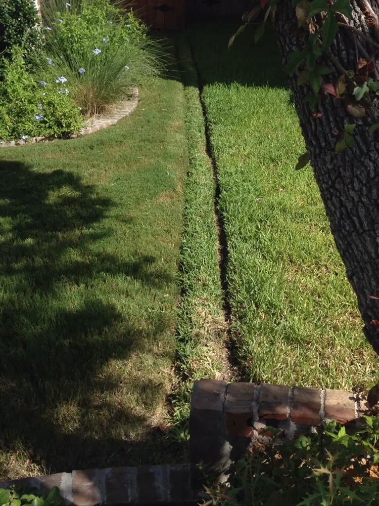 Affordable yard cleanup service in Austin, TX - Sullivan's Landscaping & Lawn Service