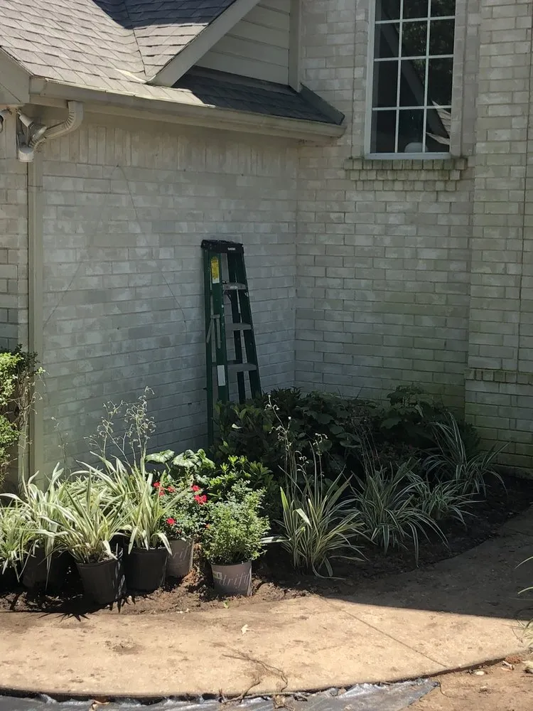Expert lawn care service for residential properties in Austin, TX by Sullivan's Landscaping & Lawn Service