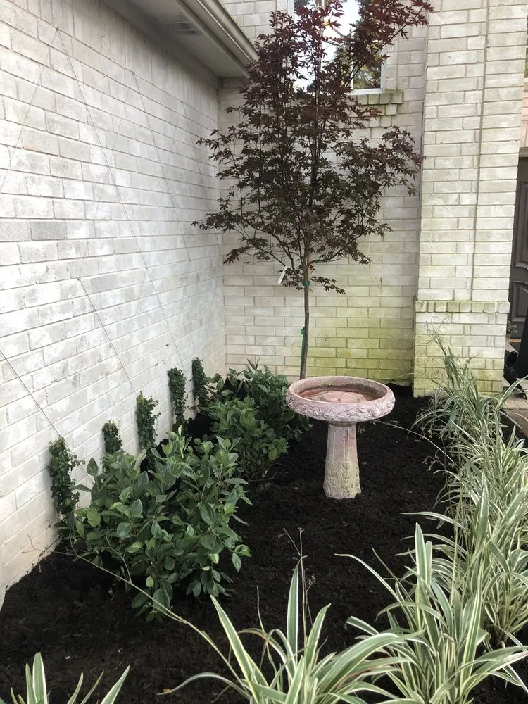 Local landscaping services in Austin, TX - Sullivan's Landscaping & Lawn Service