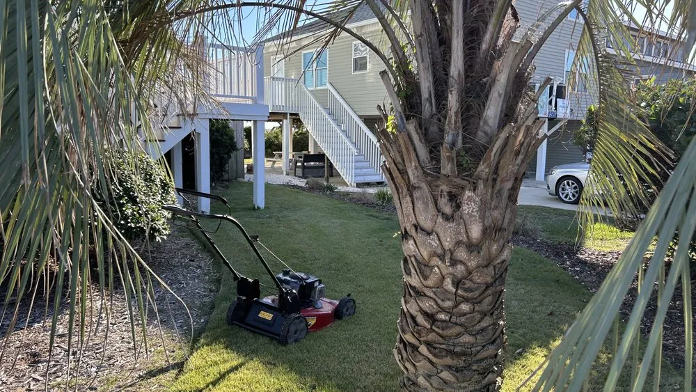 Affordable yard maintenance for year-round maintenance in Supply, NC by Sullivan’s Lawn Care