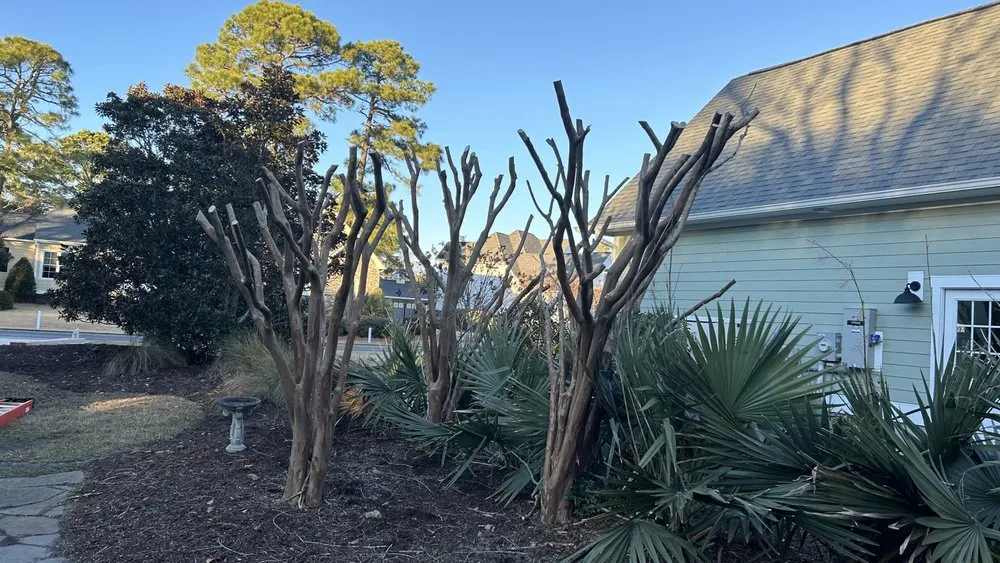 Trusted landscape installation in Supply, NC - Sullivan’s Lawn Care