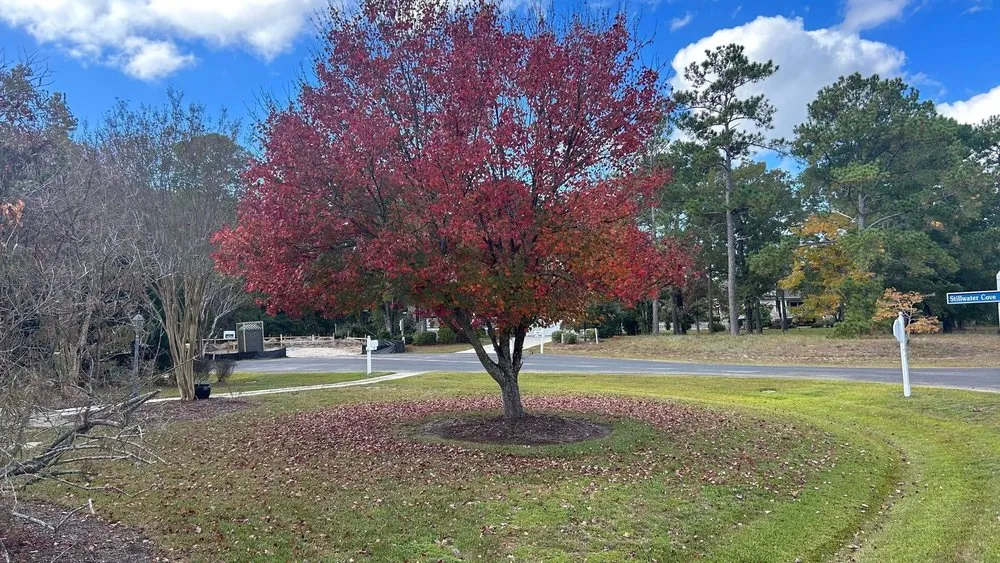 Expert yard maintenance experts serving Supply, NC - Sullivan’s Lawn Care