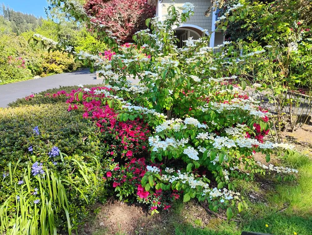 Local landscaping services in Florence, OR - Sullivans Property Service