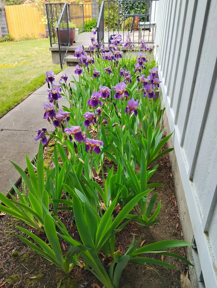 Top-rated landscape design for beautiful yards in Florence, OR by Sullivans Property Service