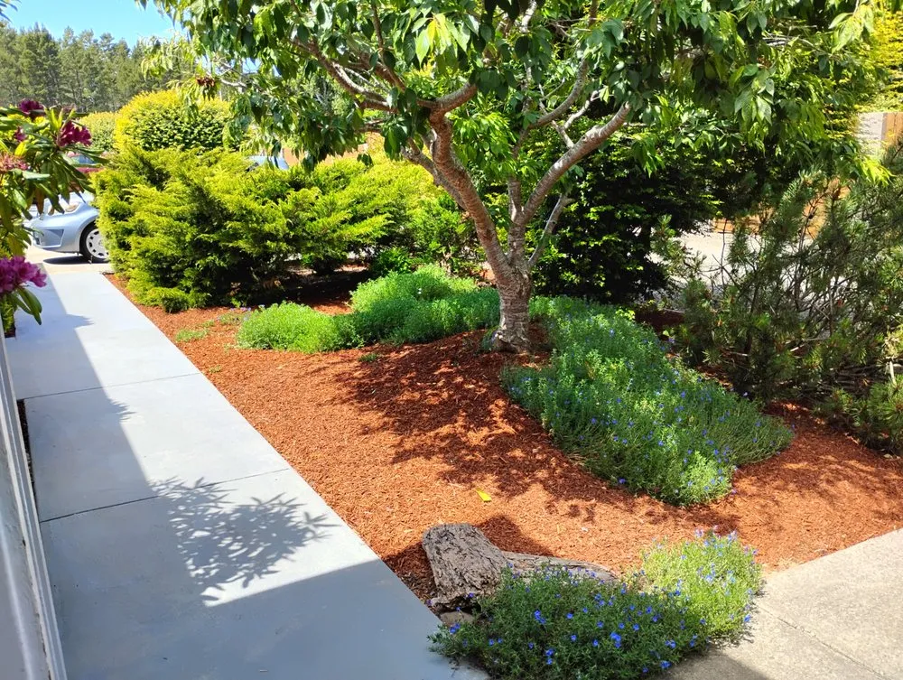 Local outdoor landscaping experts serving Florence, OR - Sullivans Property Service