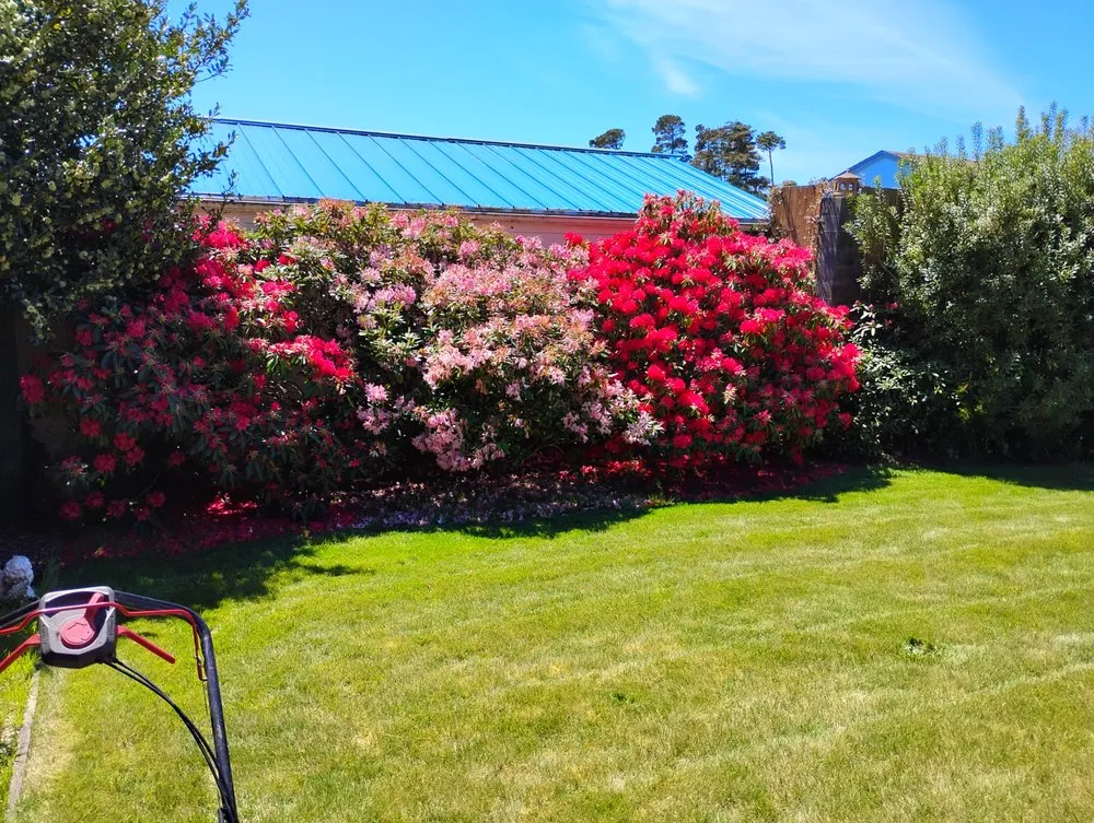 Top-rated residential landscaping experts serving Florence, OR - Sullivans Property Service