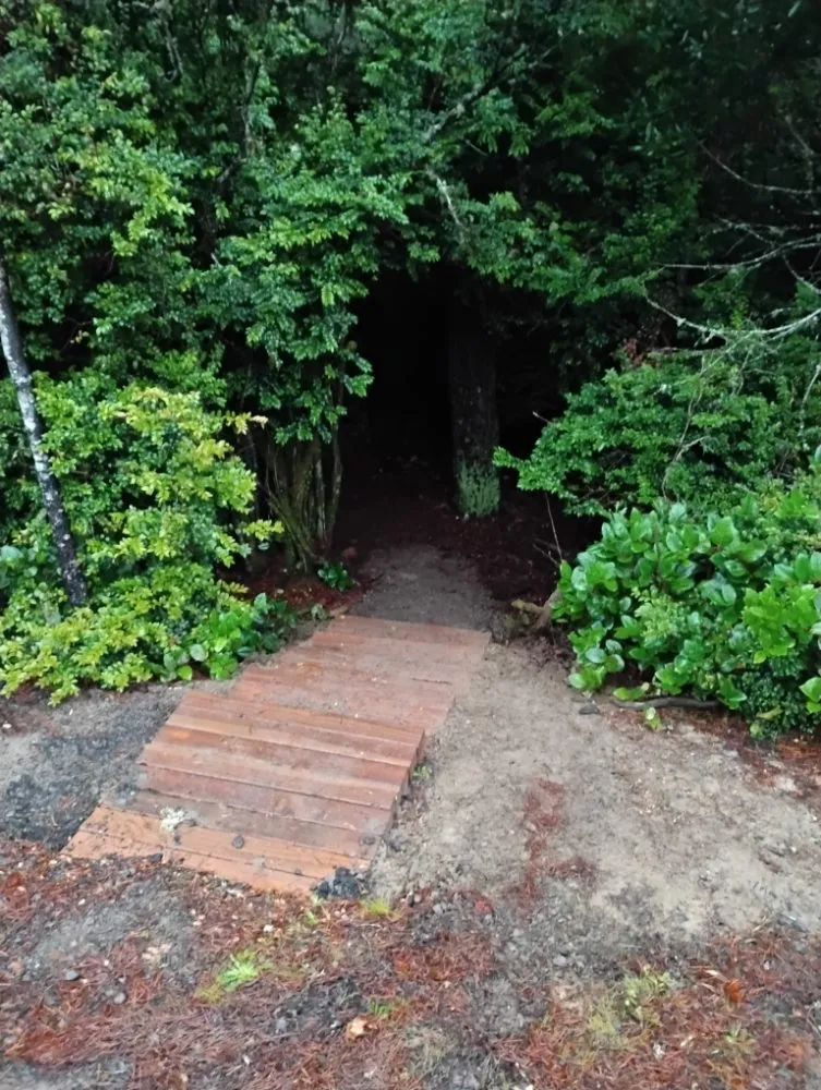 Local lawn care service experts serving Florence, OR - Sullivans Property Service