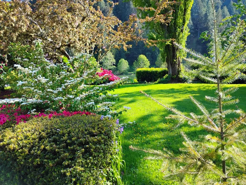 Affordable yard maintenance in Florence, OR by Sullivans Property Service