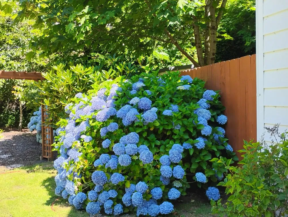 Professional lawn care service for outdoor upgrades in Florence, OR by Sullivans Property Service