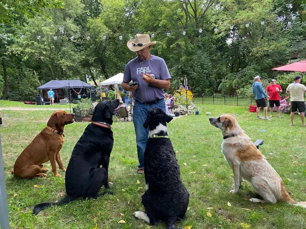 Professional yard maintenance experts serving Johnston, RI - Sully's Maintenance Monster