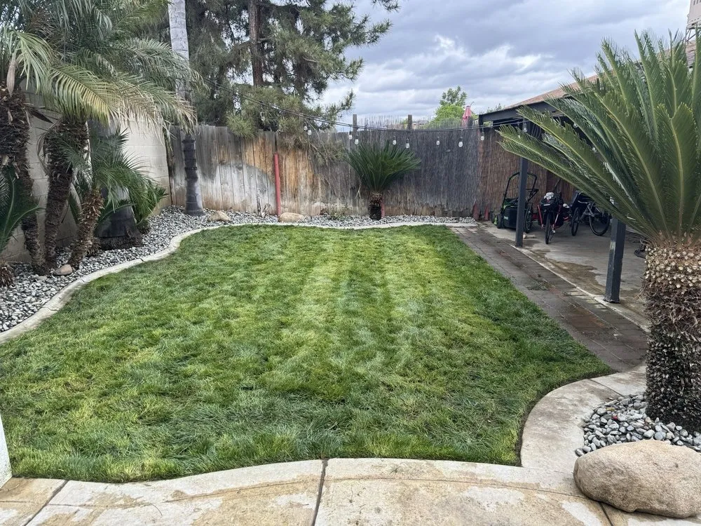 Trusted residential landscaping for year-round maintenance in Bakersfield, CA by Sultans Landscaping