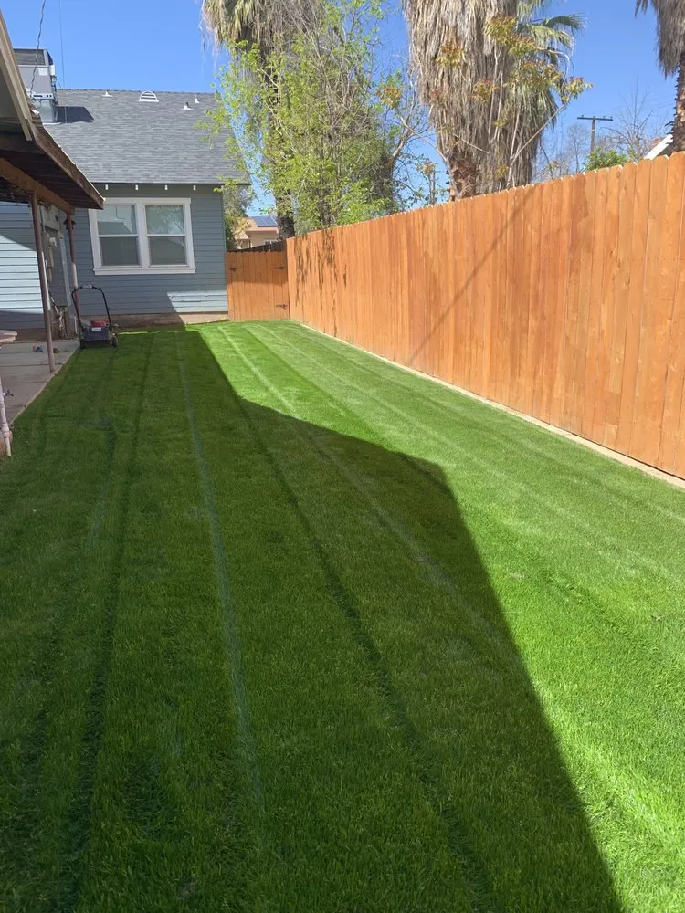 Affordable landscape design in Bakersfield, CA by Sultans Landscaping