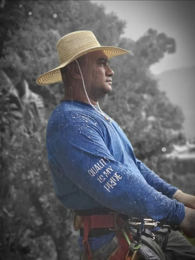 Affordable yard cleanup service experts serving Saint George, UT - Sultan's Tree Surgeon Expert