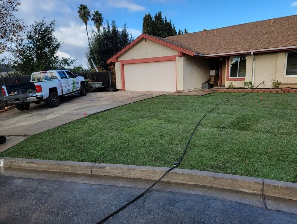 Professional landscape design in Saint George, UT by Sultan's Tree Surgeon Expert