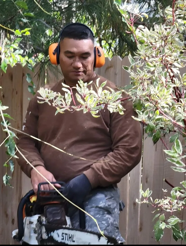Expert lawn mowing service in Saint George, UT - Sultan's Tree Surgeon Expert