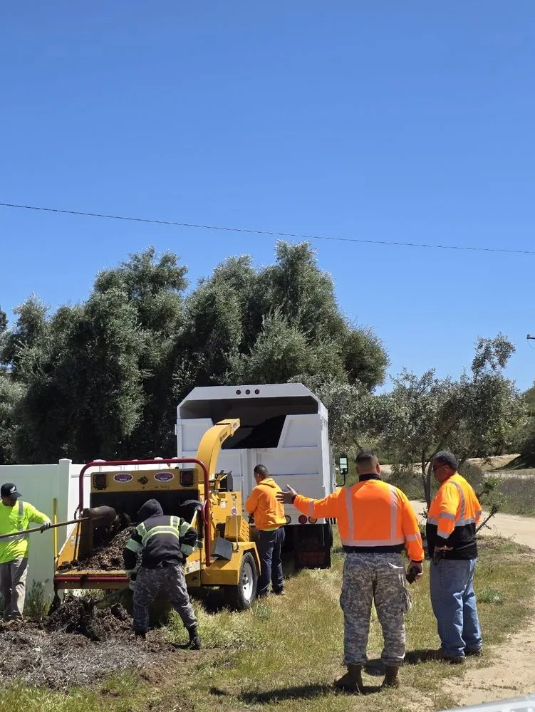 Expert landscape installation near you in Saint George, UT by Sultan's Tree Surgeon Expert