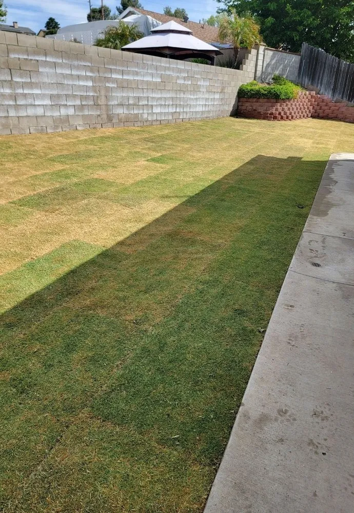 Top-rated garden landscaping experts serving Saint George, UT - Sultan's Tree Surgeon Expert