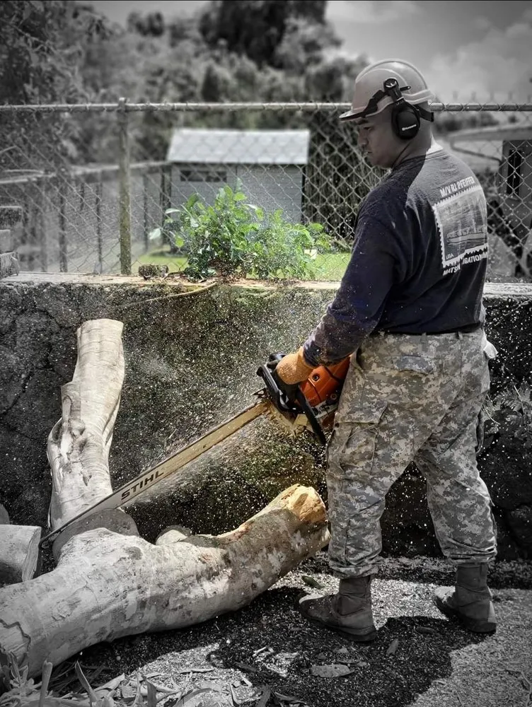 Top-rated lawn care service for beautiful yards across Saint George, UT - Sultan's Tree Surgeon Expert